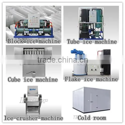 2016 New design 9 tons cold storage room with hinged door for seafood from Koller