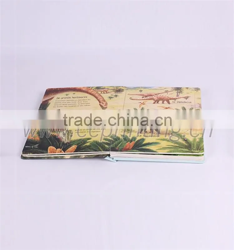 Customized english picture children's story book