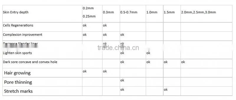 Low price OEM private label derma roller
