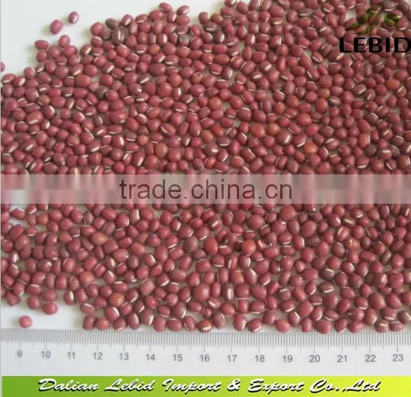 New crop 2014 5009 Sunflower Seeds 5009 24/64 bulk package