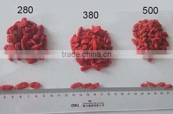 Dried fruit goji berries/goji/organic goji berries