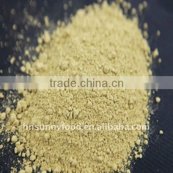 Dehydrated Ginger Flakes