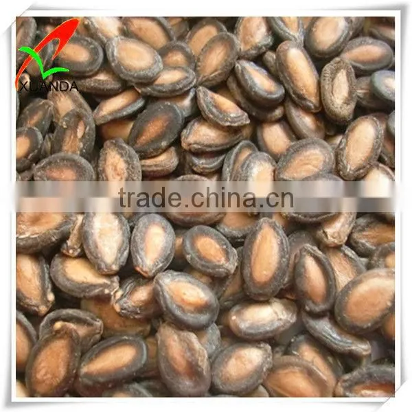 different types of seeds watermelon
