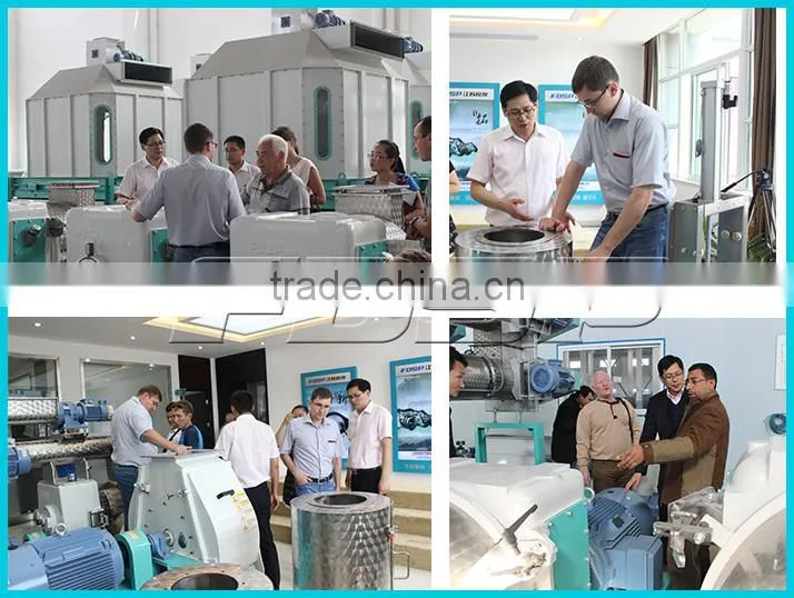 FDSP Supplier of Poultry Feed Pellet Making Line Equipment for Sheep/Cattle Feed