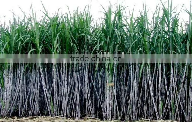 cane crusher ,new arrive cane juice cusher ,industrial sugarcane crusher, 2014 new sugar cane crusher machine