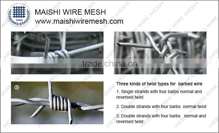 Galvanised Barbed wire (double strand) horse fence/field fence