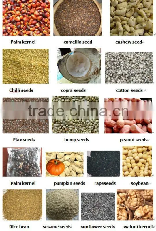 automatic screw oil press for sale