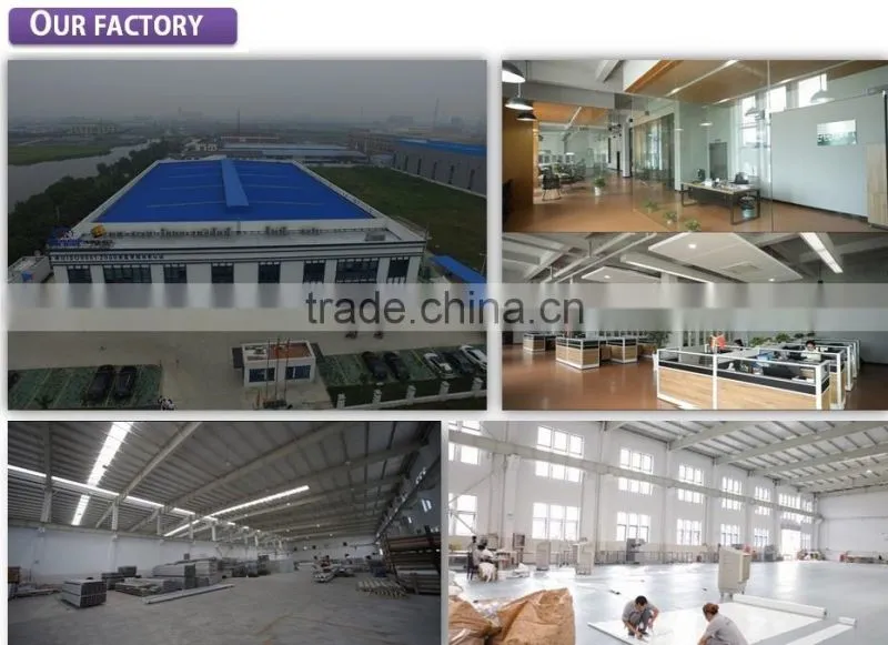 Factory direct sale permanent car storage tent German structure carports