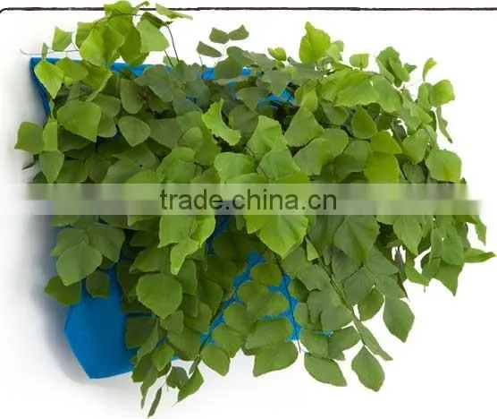 Hanging Plant Pocket