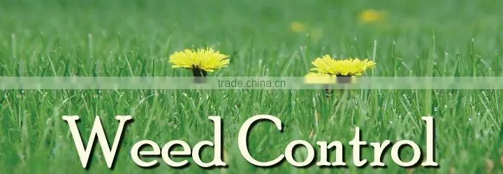 Agriculture equipment pp nonwoven fabric for weed control /export of agriculture products