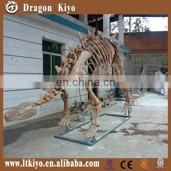 Theme Park High Simulation Dinosaur Skeleton Fossil