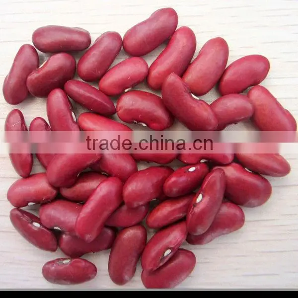 Red Kidney Bean