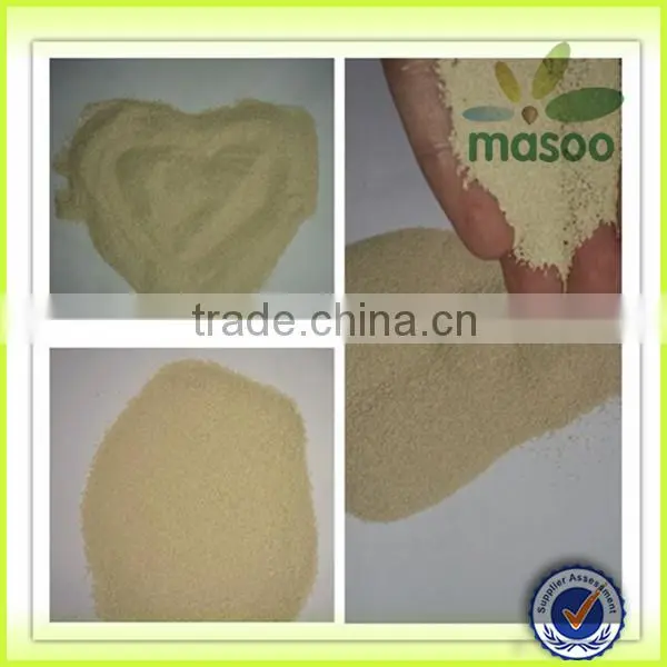 500g baker yeast, active dry yeast
