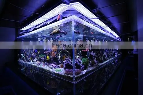dimmable 16inch 24inch 32inch coral reef led aquarium light, 120w 165w salt water aquarium led light