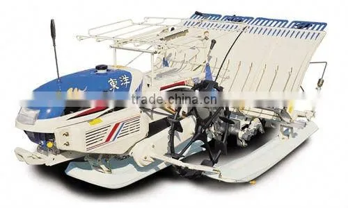 TYM walking rice transplanter