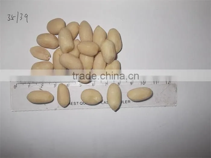 High quality blanched peanuts in the carton from china