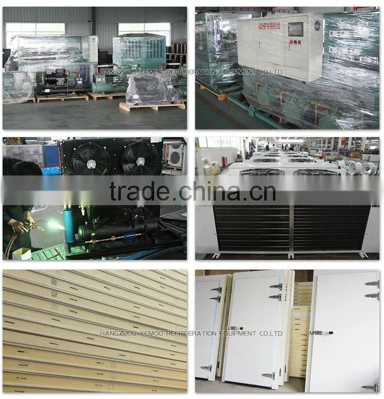 hangzhou 3-5 tons of meat cold storage for chicken farm