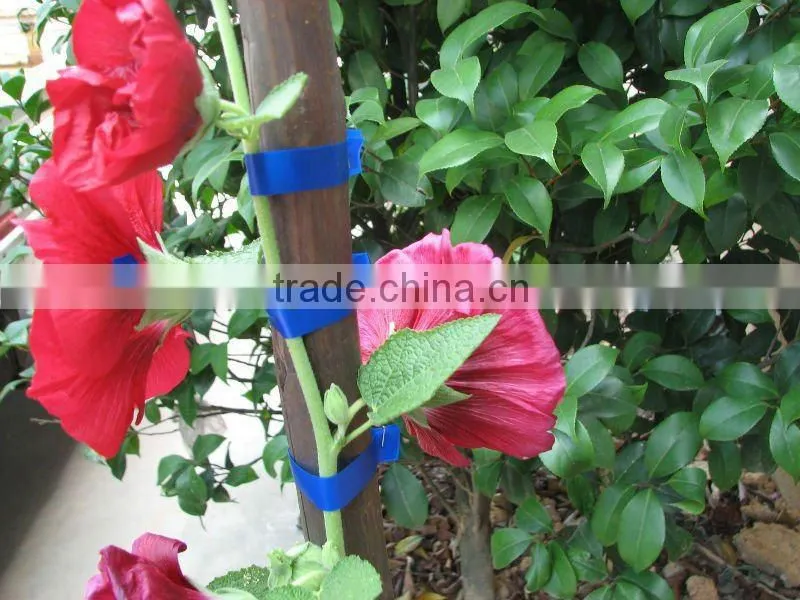 tie grape tape tool