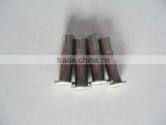 Hollow rivets