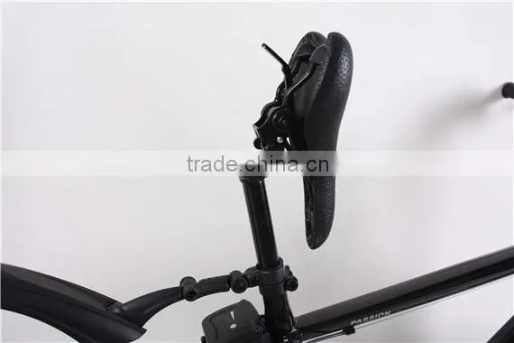2013 germany fair popular electric bike best quality control