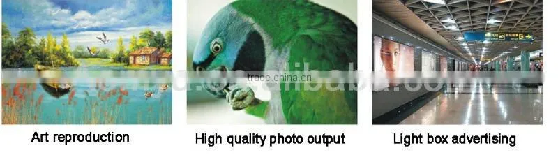 5 colors Aomya High quality factory direct sale pigment inks for epson 7700 9700