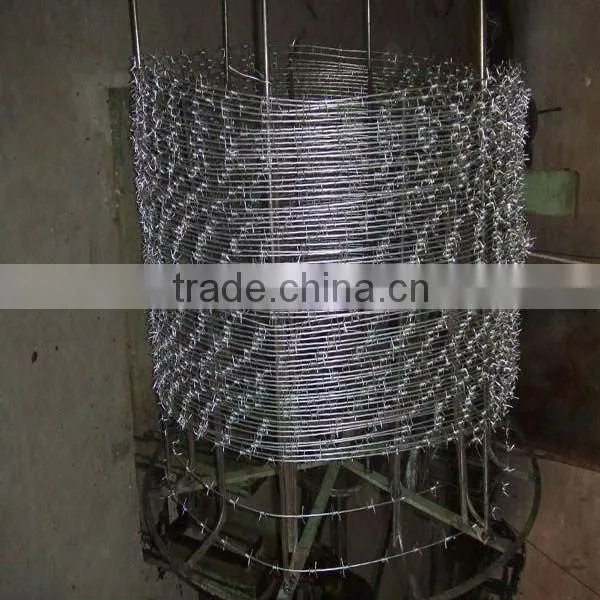 barb wire arms
