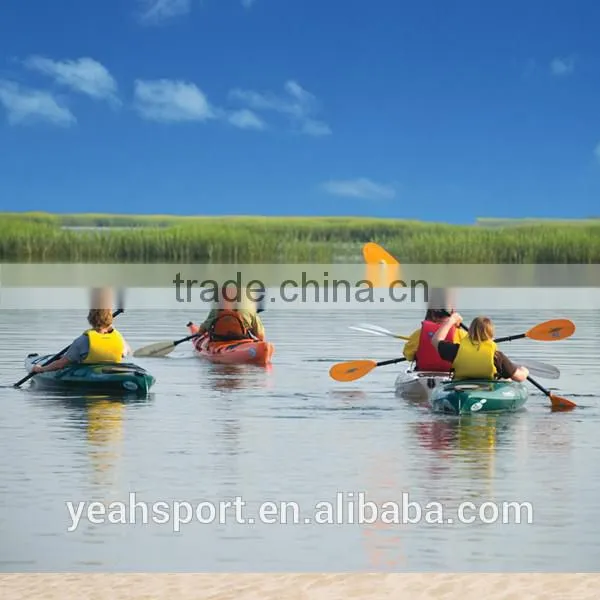 Detachable surface treatment fishing kayak paddle with straight pole