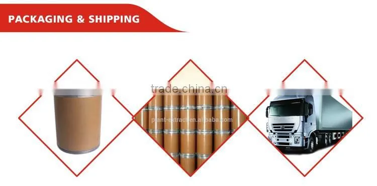 Best price Food grade product Green organic mulberry leaf extract powder
