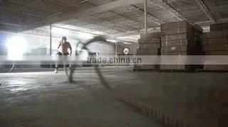 Rizhao Pegasus International Trade Co., Ltd. company overview - view 1