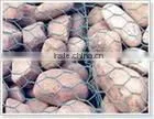 Anping Nuojia galvanized gabion (manufacturer)