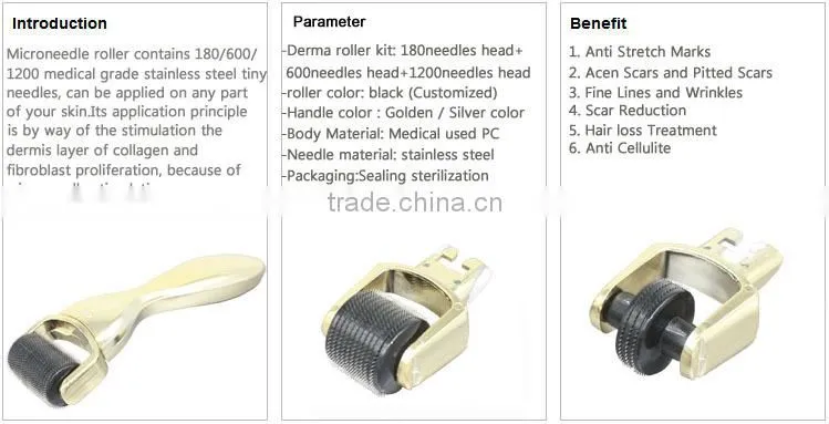 180/ 600/1200 pins derma roller 3 in 1 factory direct wholesale
