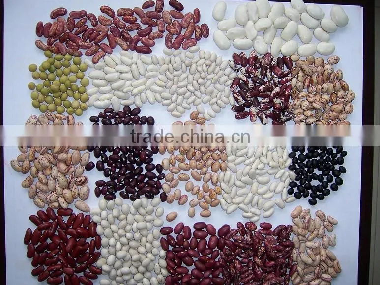 2015 white kidney beans for sale with cheaper price from china