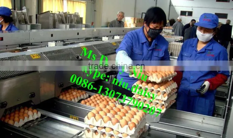 automatic egg packing machine/egg tray packaging machine/egg grading machine for packing