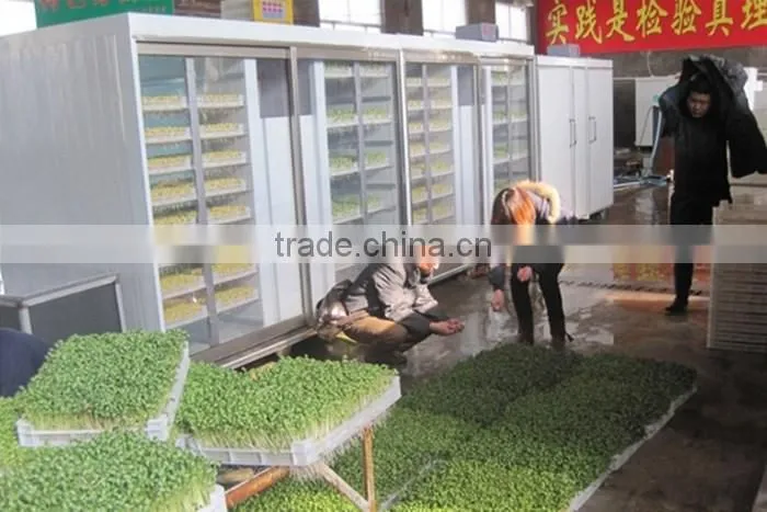 Hydroponic easy to operate beet seedlings machine tree seeds buds sprouting machine