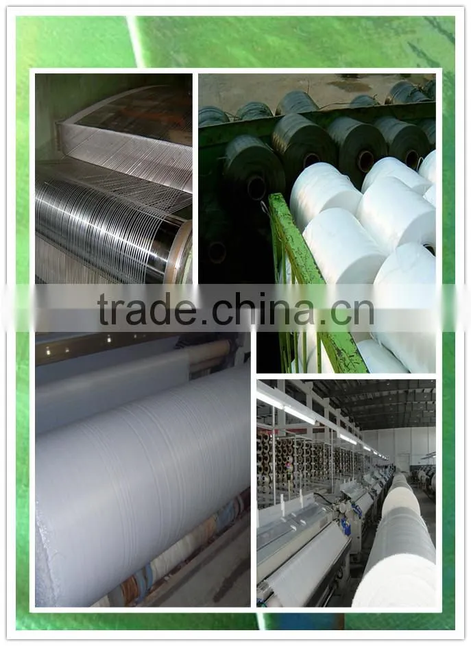 Cheap price blue tarp material PE Tarpaulin roll