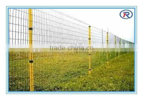 China high quality Green and red painted studded steel T post