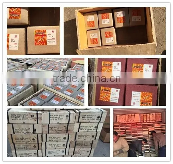 2.5" POLISH NAIL / COMMON NAIL / WIRE NAIL COST PRICE SELLING