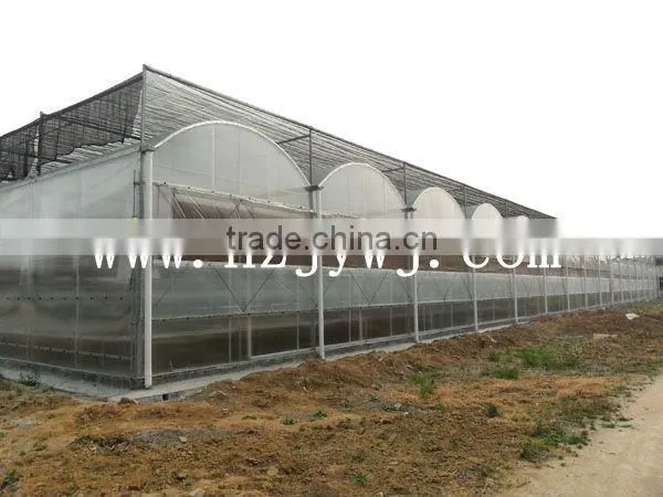 Sunlight greenhouses
