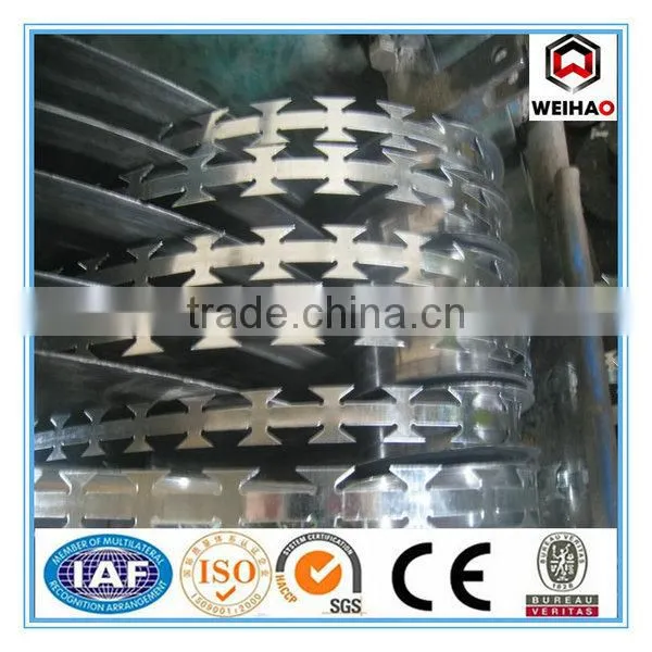 Hot dipped galvanized raozr barbed wire