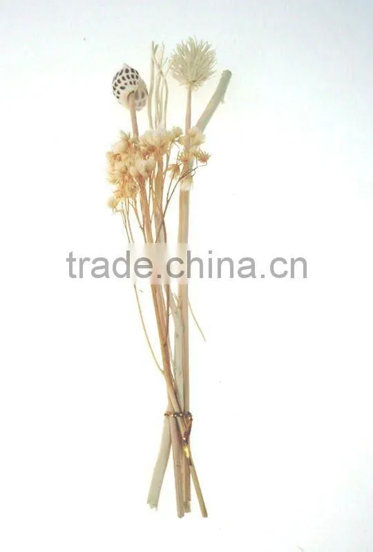 Factory Direct Sale Aroma Diffuser Reed(Rattan)/Floral Sticks