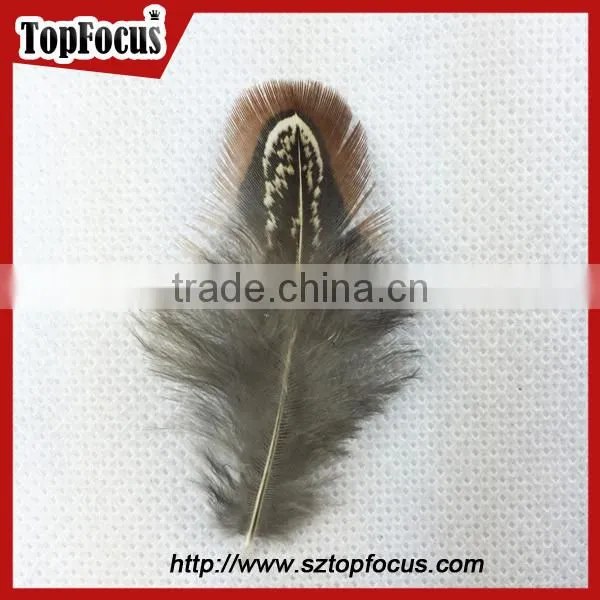 lower price natural synthetic pheasant feathers for carnival costumes