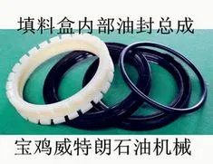 Russian customer will visit US --Baoji WTL Machinery CO.