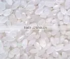 Delon artificial rice machine equipment
