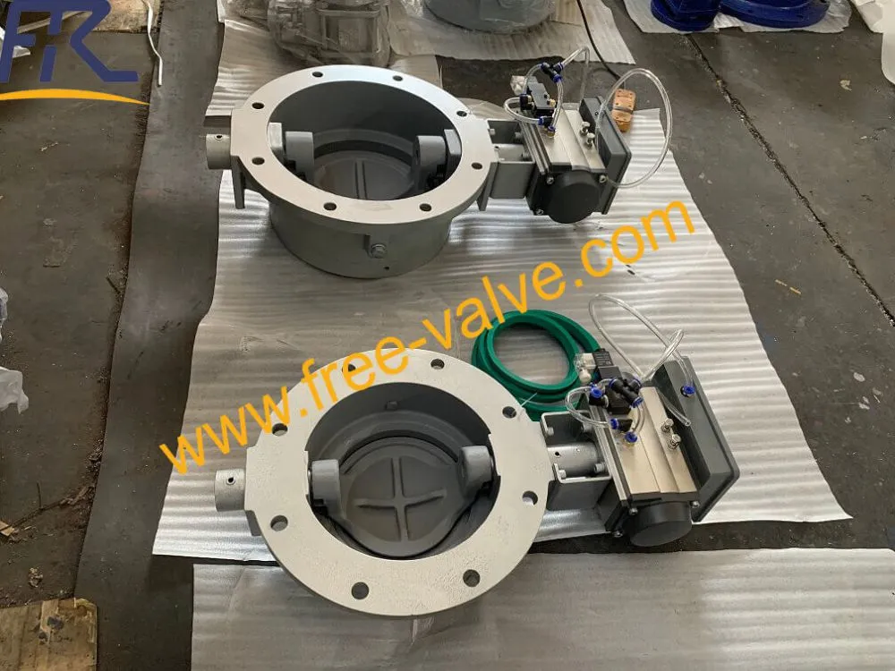 Pneumatic dome valve 01