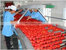 cold crush fresh tomato paste /jam/ketchup production line for sale