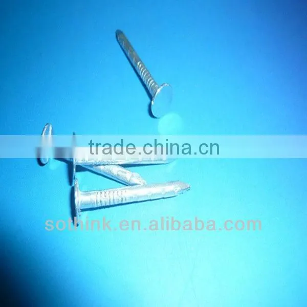 electric galvanized flat head roofing nails