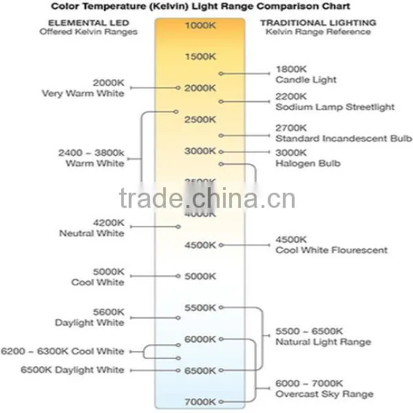 New design 12V 5050 SMD WW 60 LED/M two color led strip light