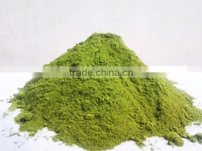 Bulk Moringa oleifera Leaf Powder Exporter