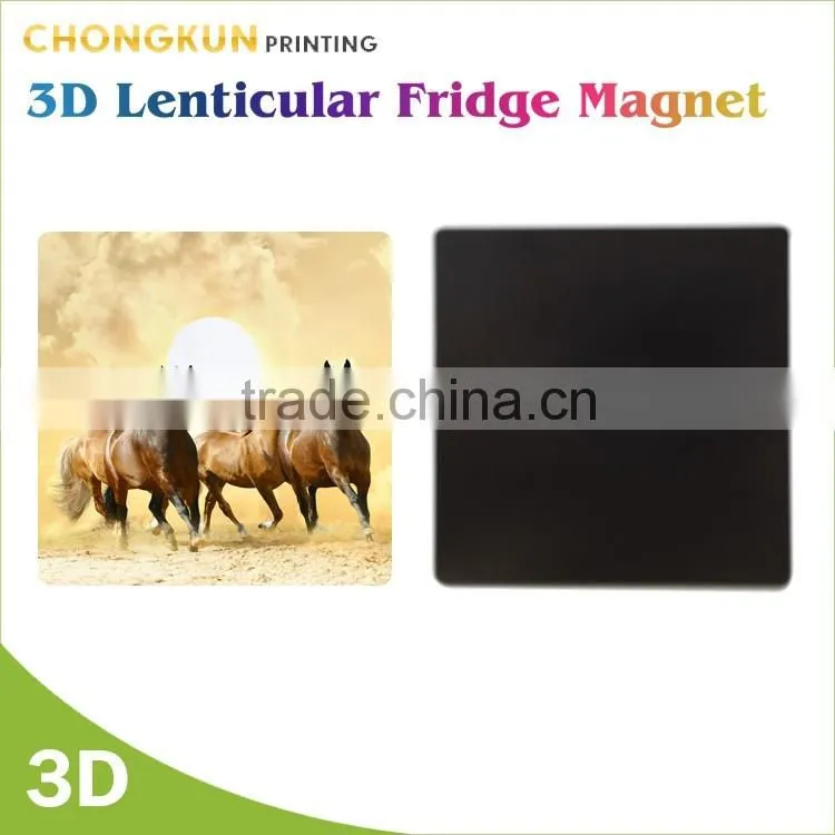 Funny design animal picture printed cat fridge magnets