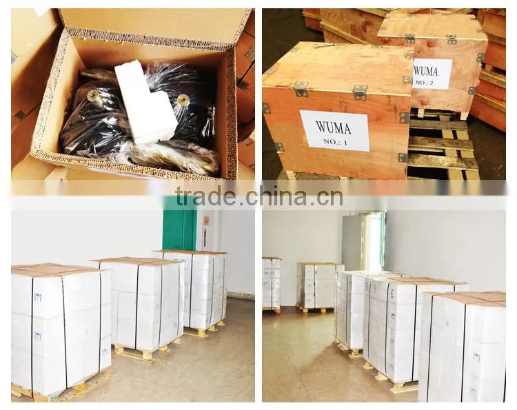WRS136 Helical Gearbox
